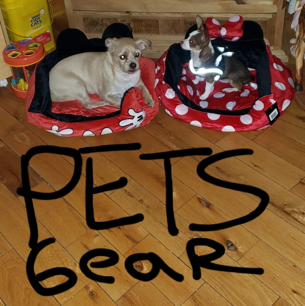 Pet gear